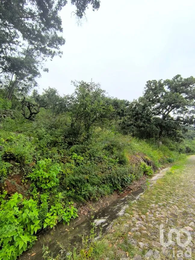 Terreno en Venta en El Batán, Amealco de Bonfil, Querétaro | NEX-246654 | iad México | Foto 4 de 8
