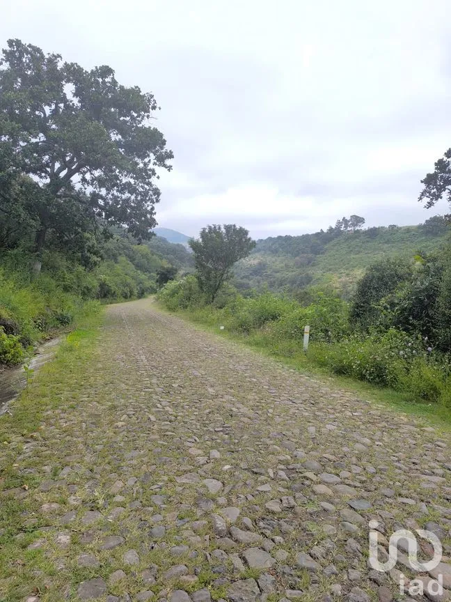 Terreno en Venta en El Batán, Amealco de Bonfil, Querétaro | NEX-246654 | iad México | Foto 5 de 8