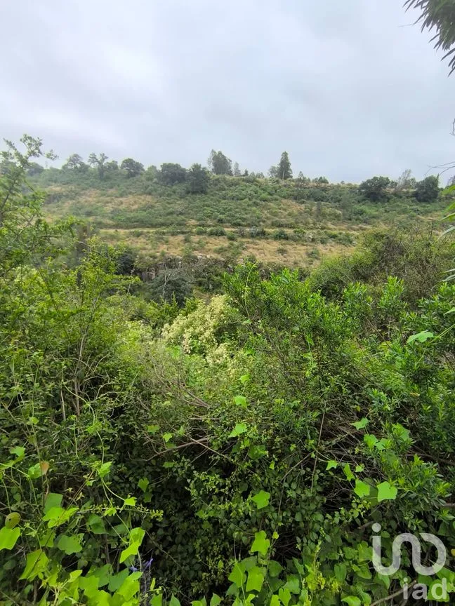 Terreno en Venta en El Batán, Amealco de Bonfil, Querétaro | NEX-246654 | iad México | Foto 6 de 8