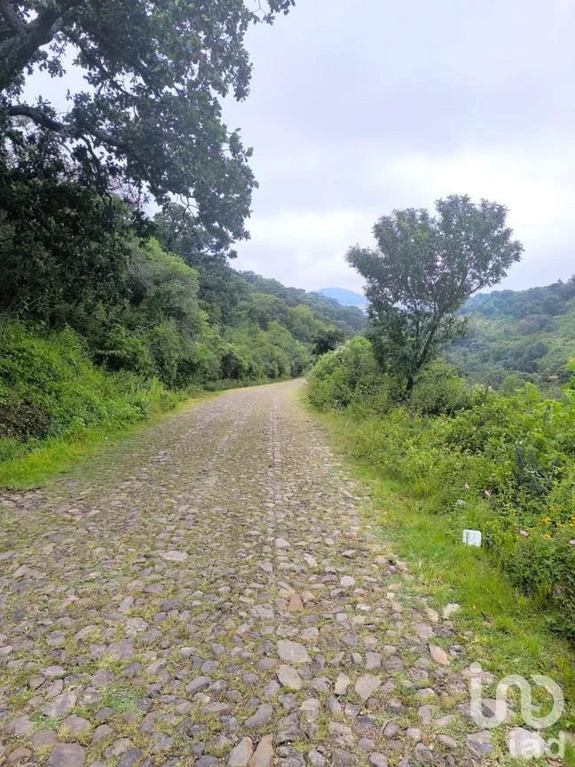 Terreno en Venta en El Batán, Amealco de Bonfil, Querétaro | NEX-246654 | iad México | Foto 8 de 8