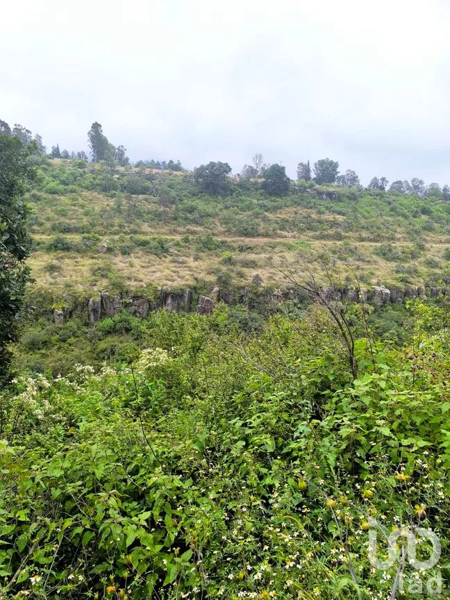 Terreno en Venta en El Batán, Amealco de Bonfil, Querétaro | NEX-246654 | iad México | Foto 1 de 8