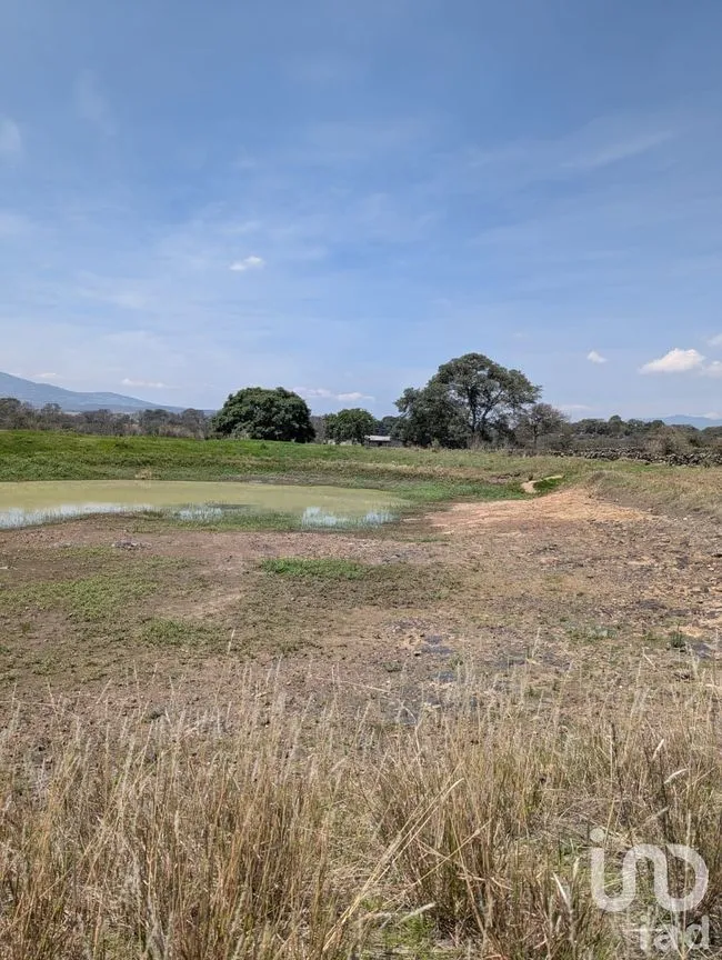 Terreno en Venta en El Capulín, Amealco de Bonfil, Querétaro | NEX-251219 | iad México | Foto 2 de 3