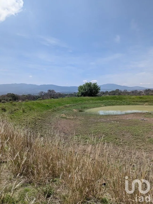 Terreno en Venta en El Capulín, Amealco de Bonfil, Querétaro | NEX-251219 | iad México | Foto 3 de 3