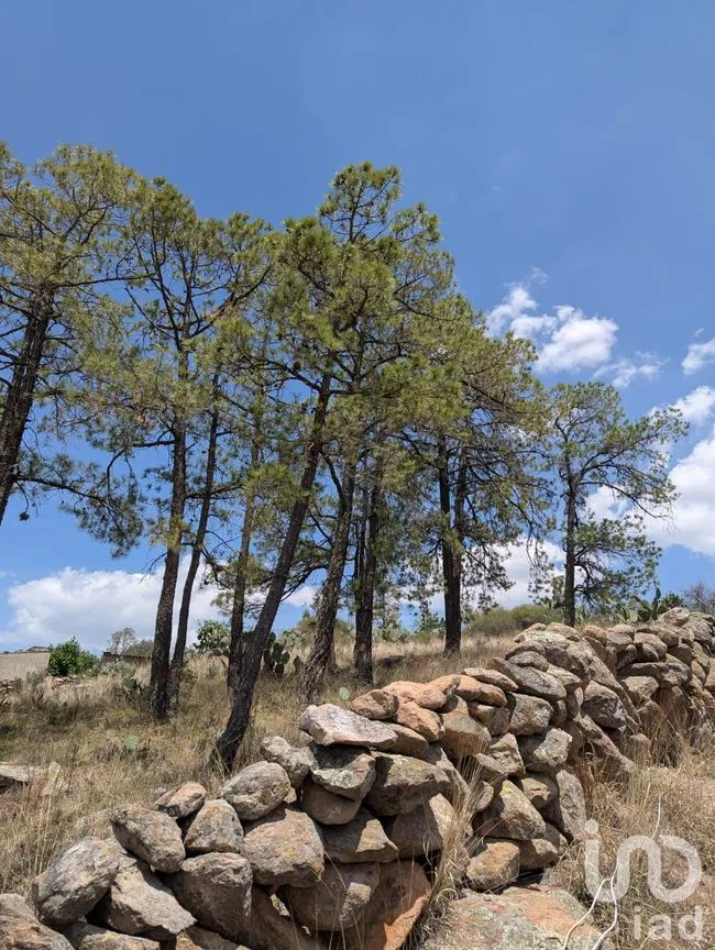 Terreno en Venta en El Rincón de San Ildefonso, Amealco de Bonfil, Querétaro | NEX-251224 | iad México | Foto 3 de 3