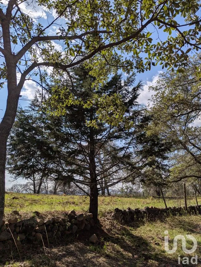 Terreno en Venta en La Piní, Amealco de Bonfil, Querétaro | NEX-251309 | iad México | Foto 4 de 4