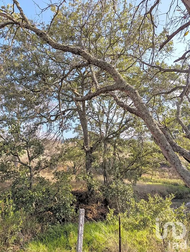 Terreno en Venta en Amealco de Bonfil Centro, Amealco de Bonfil, Querétaro | NEX-251311 | iad México | Foto 2 de 17