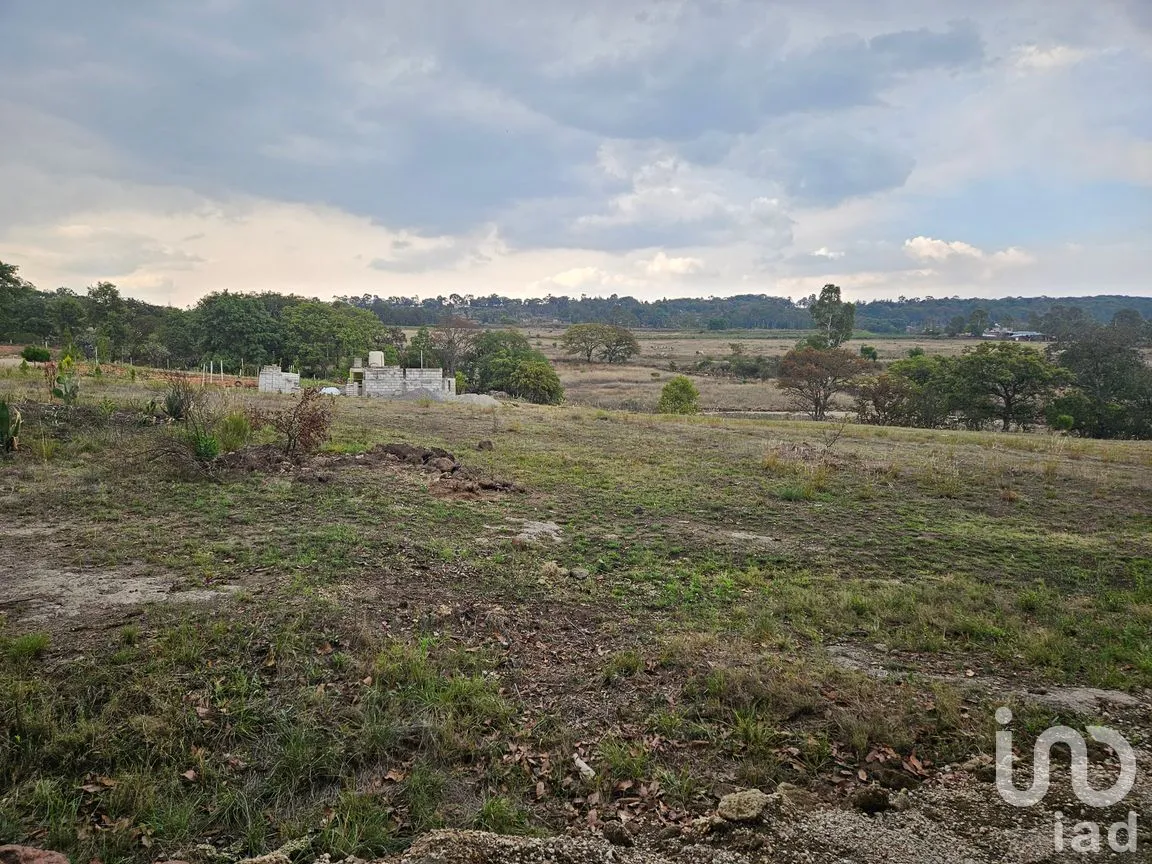 Terreno en Venta en Amealco de Bonfil Centro, Amealco de Bonfil, Querétaro | NEX-251311 | iad México | Foto 13 de 17