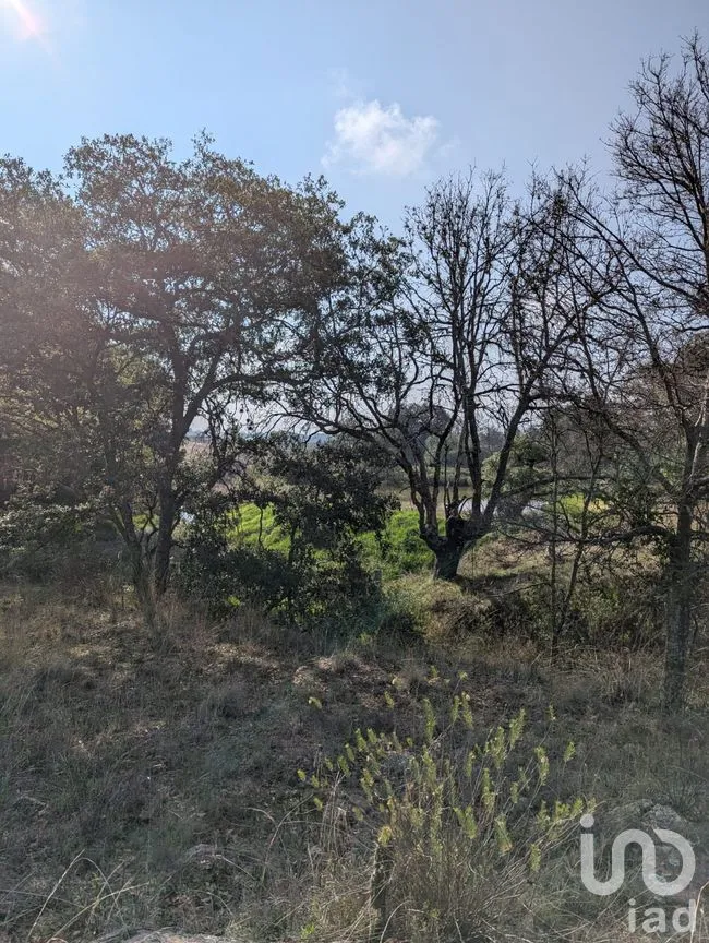 Terreno en Venta en Amealco de Bonfil Centro, Amealco de Bonfil, Querétaro | NEX-251311 | iad México | Foto 15 de 17