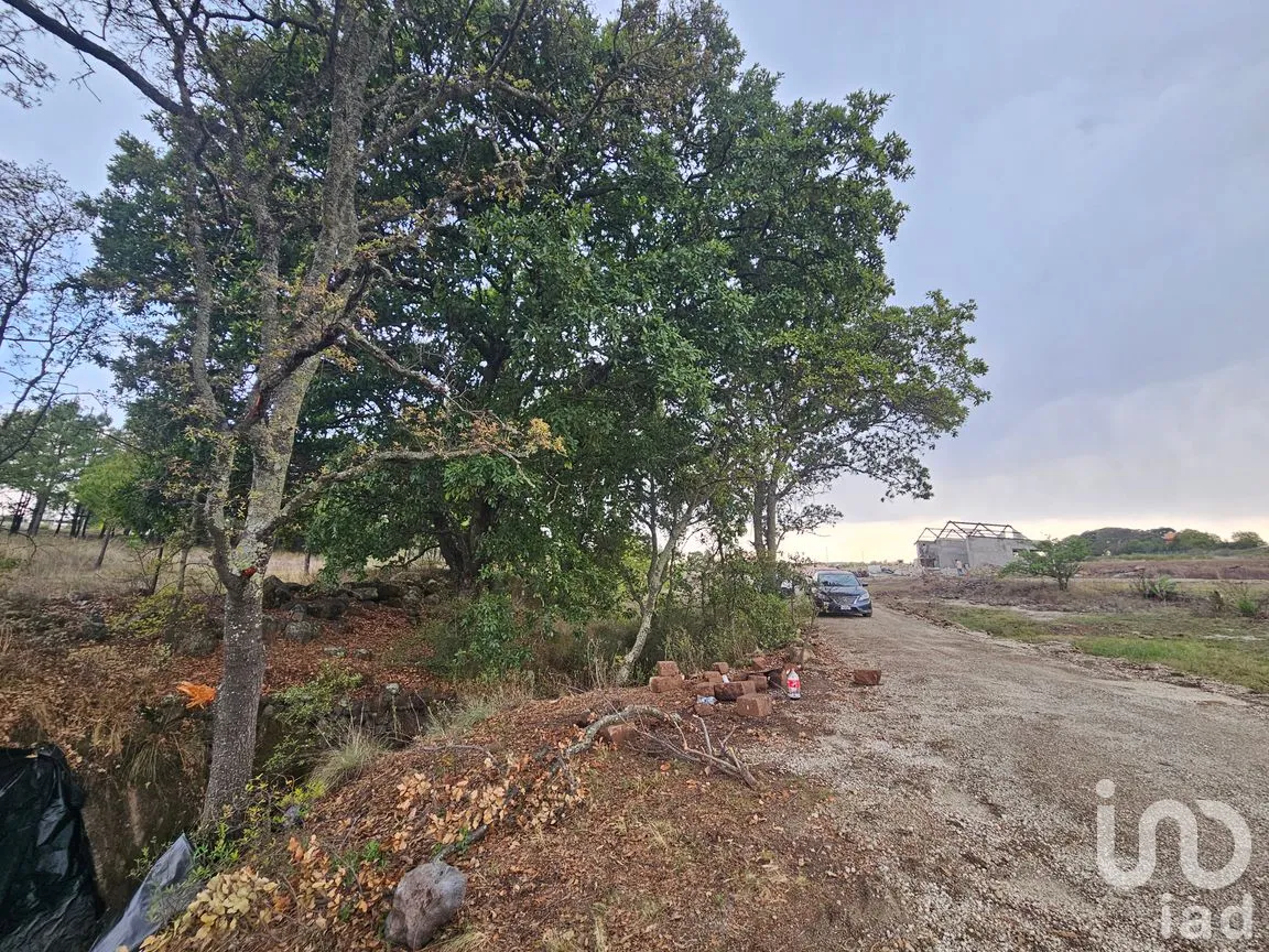 Terreno en Venta en Amealco de Bonfil Centro, Amealco de Bonfil, Querétaro | NEX-251311 | iad México | Foto 17 de 17