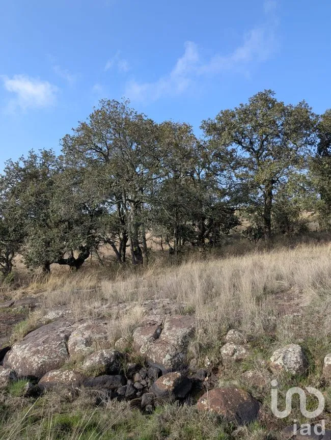 Terreno en Venta en Amealco de Bonfil Centro, Amealco de Bonfil, Querétaro | NEX-251311 | iad México | Foto 3 de 17