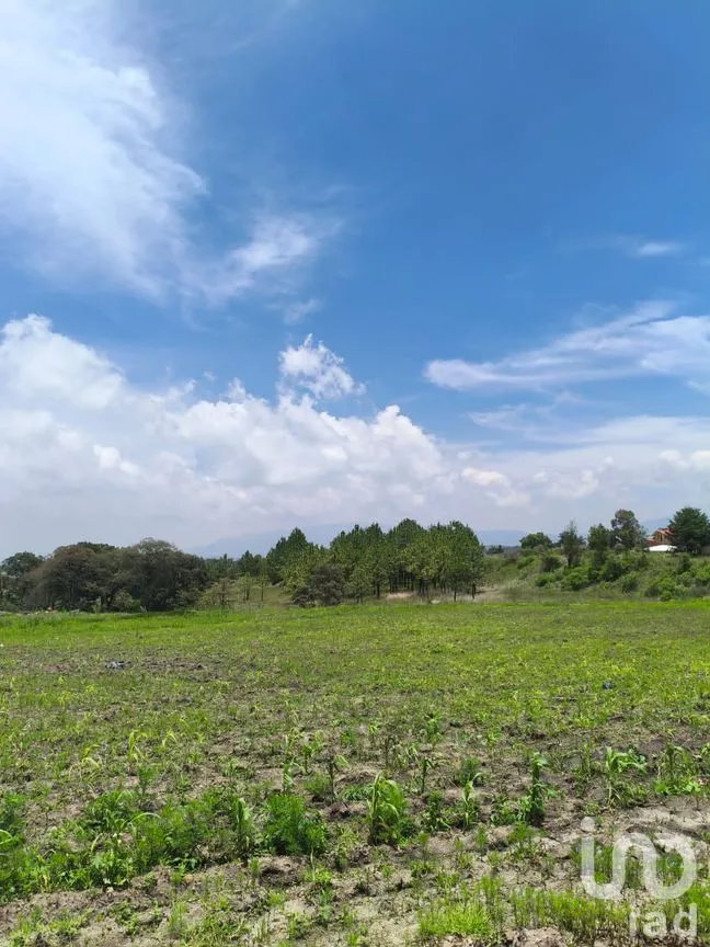 Terreno en Venta en Amealco de Bonfil Centro, Amealco de Bonfil, Querétaro | NEX-251311 | iad México | Foto 4 de 17