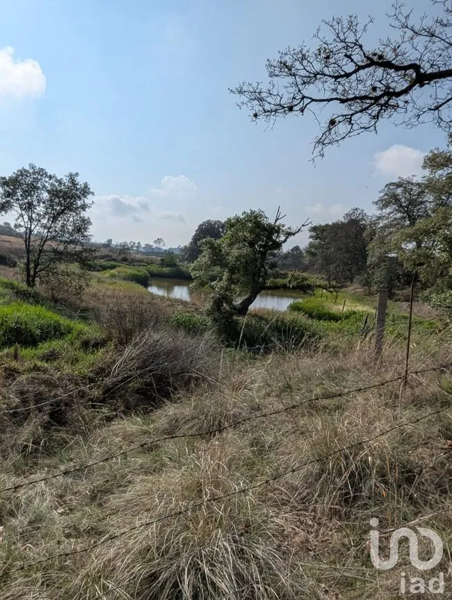 Terreno en Venta en Amealco de Bonfil Centro, Amealco de Bonfil, Querétaro | NEX-251311 | iad México | Foto 6 de 17