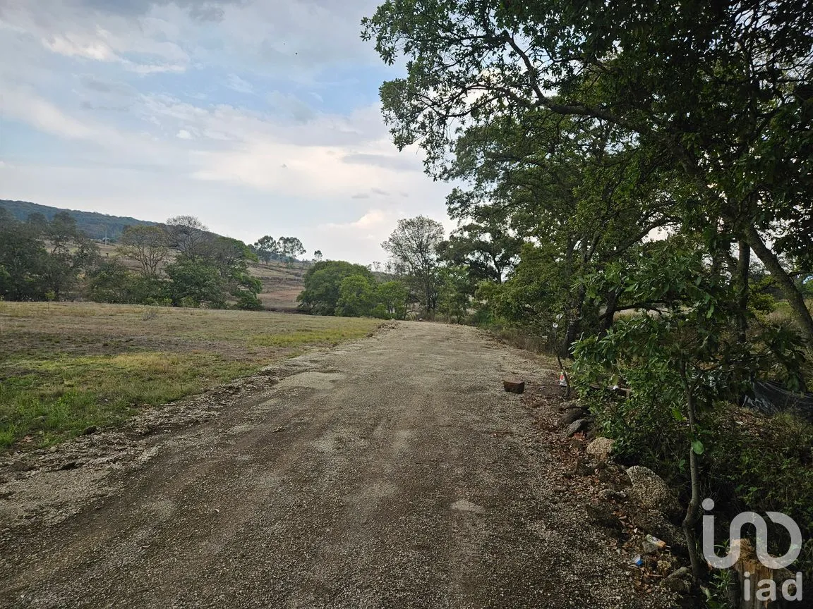 Terreno en Venta en Amealco de Bonfil Centro, Amealco de Bonfil, Querétaro | NEX-251311 | iad México | Foto 7 de 17
