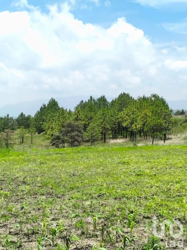 Terreno en Venta en Amealco de Bonfil Centro, Amealco de Bonfil, Querétaro | NEX-251311 | iad México | Foto 8 de 17