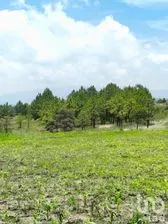 NEX-251311 - Terreno en Venta en Amealco de Bonfil Centro, CP 76850, Querétaro.