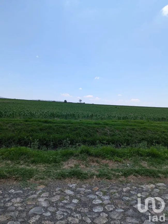 Terreno en Venta en Los Árboles, Amealco de Bonfil, Querétaro | NEX-251707 | iad México | Foto 2 de 4