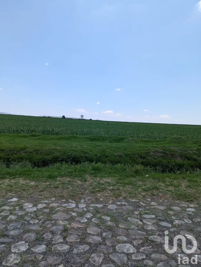 Terreno en Venta en Los Árboles, Amealco de Bonfil, Querétaro | NEX-251707 | iad México | Foto 3 de 4