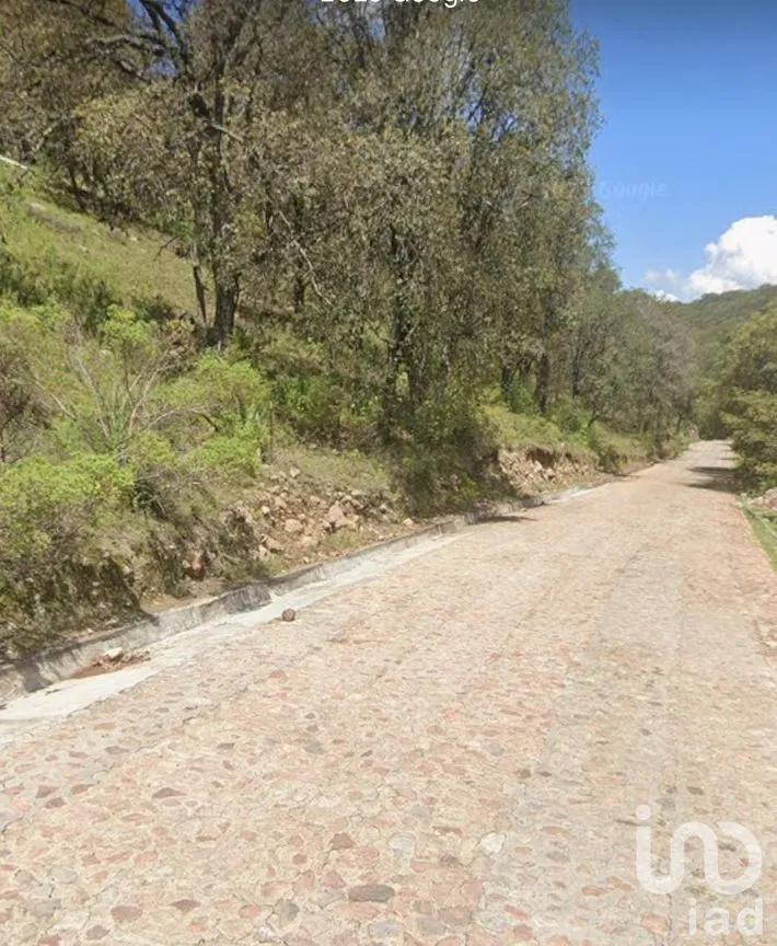 Terreno en Venta en Chitejé de la Cruz, Amealco de Bonfil, Querétaro | NEX-251708 | iad México | Foto 2 de 8