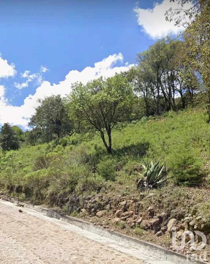 Terreno en Venta en Chitejé de la Cruz, Amealco de Bonfil, Querétaro | NEX-251708 | iad México | Foto 4 de 8