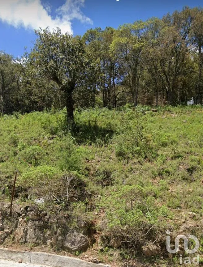Terreno en Venta en Chitejé de la Cruz, Amealco de Bonfil, Querétaro | NEX-251708 | iad México | Foto 5 de 8