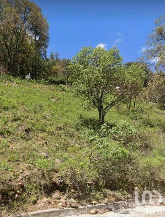 Terreno en Venta en Chitejé de la Cruz, Amealco de Bonfil, Querétaro | NEX-251708 | iad México | Foto 6 de 8