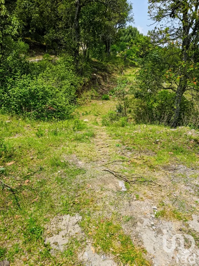 Terreno en Venta en Chitejé de la Cruz, Amealco de Bonfil, Querétaro | NEX-251708 | iad México | Foto 8 de 8