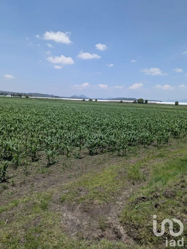Terreno en Venta en Los Árboles, Amealco de Bonfil, Querétaro | NEX-251709 | iad México | Foto 2 de 9