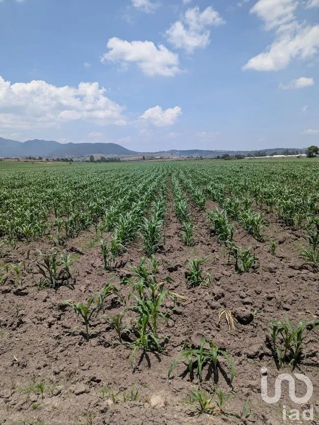Terreno en Venta en Los Árboles, Amealco de Bonfil, Querétaro | NEX-251709 | iad México | Foto 3 de 9