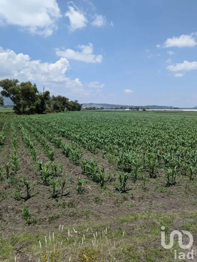 Terreno en Venta en Los Árboles, Amealco de Bonfil, Querétaro | NEX-251709 | iad México | Foto 4 de 9