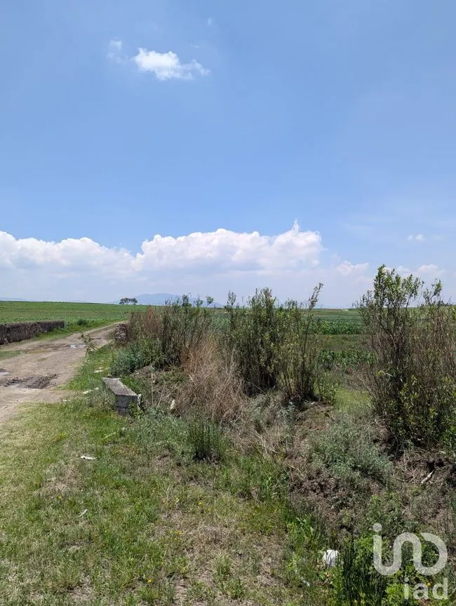 Terreno en Venta en Los Árboles, Amealco de Bonfil, Querétaro | NEX-251709 | iad México | Foto 5 de 9