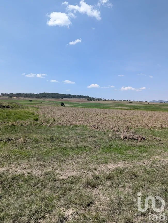 Terreno en Venta en Los Árboles, Amealco de Bonfil, Querétaro | NEX-251709 | iad México | Foto 6 de 9
