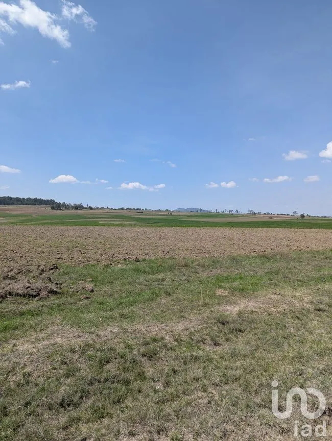Terreno en Venta en Los Árboles, Amealco de Bonfil, Querétaro | NEX-251709 | iad México | Foto 7 de 9