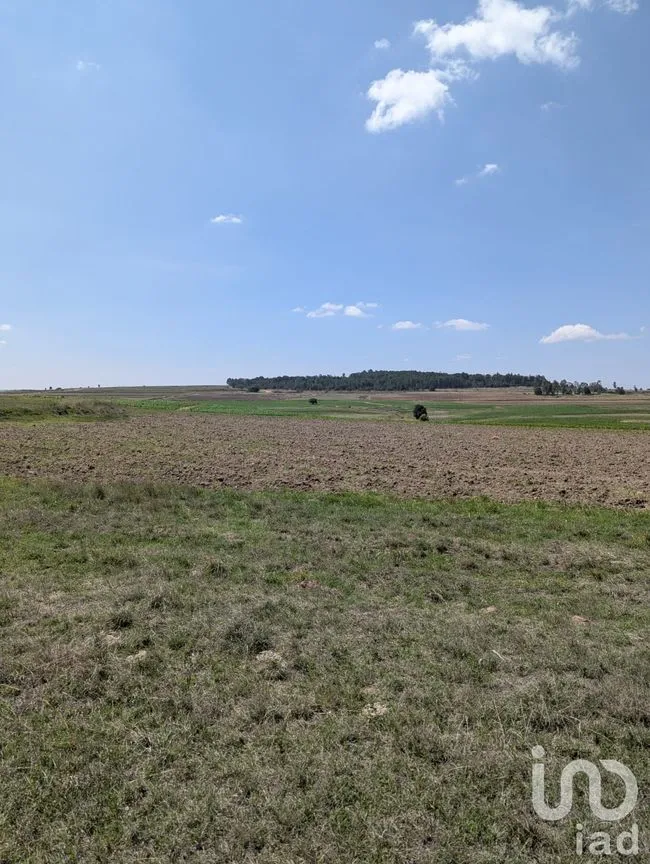 Terreno en Venta en Los Árboles, Amealco de Bonfil, Querétaro | NEX-251709 | iad México | Foto 8 de 9