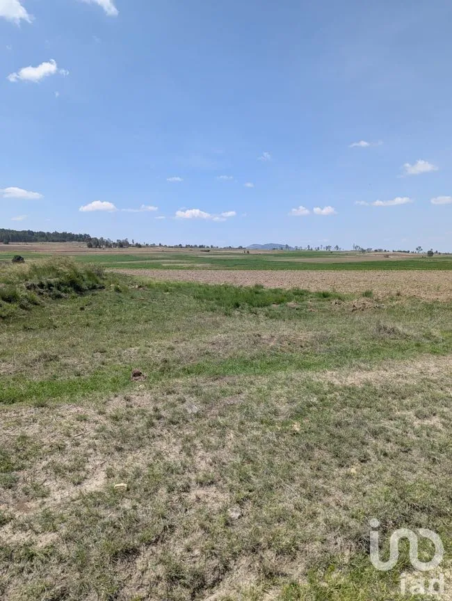 Terreno en Venta en Los Árboles, Amealco de Bonfil, Querétaro | NEX-251709 | iad México | Foto 9 de 9