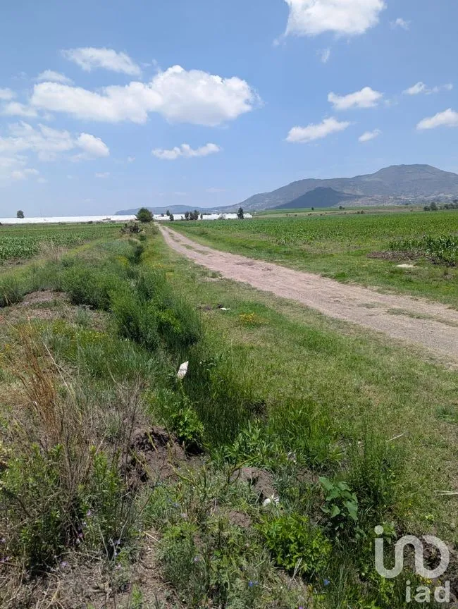 Terreno en Venta en Los Árboles, Amealco de Bonfil, Querétaro | NEX-251709 | iad México | Foto 1 de 9