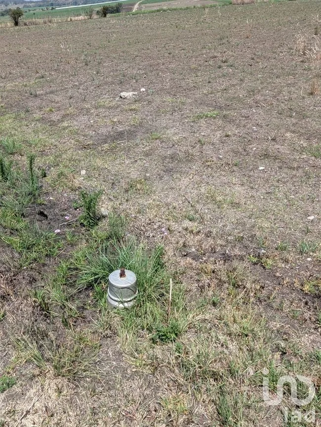 Terreno en Venta en El Varal, Amealco de Bonfil, Querétaro | NEX-251710 | iad México | Foto 2 de 12