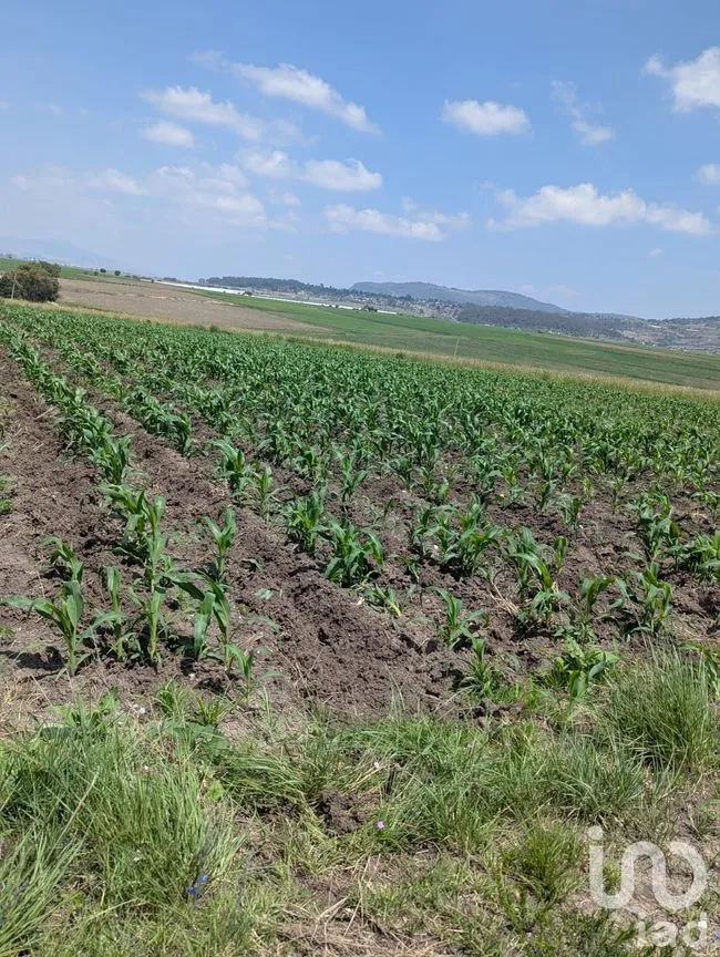 Terreno en Venta en El Varal, Amealco de Bonfil, Querétaro | NEX-251710 | iad México | Foto 3 de 12