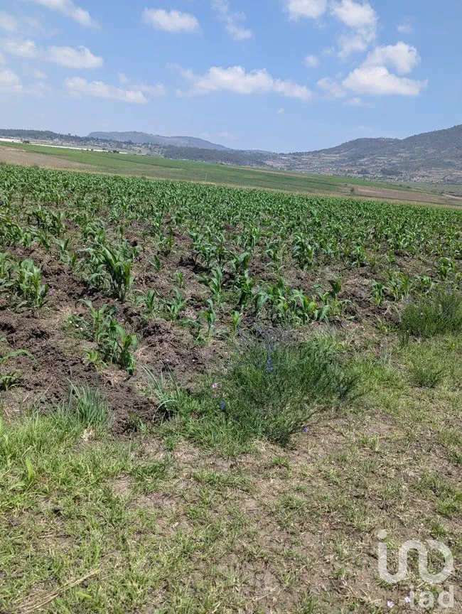 Terreno en Venta en El Varal, Amealco de Bonfil, Querétaro | NEX-251710 | iad México | Foto 4 de 12