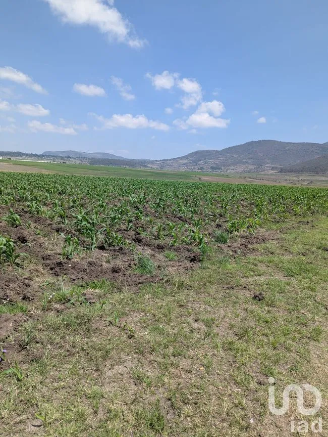 Terreno en Venta en El Varal, Amealco de Bonfil, Querétaro | NEX-251710 | iad México | Foto 5 de 12