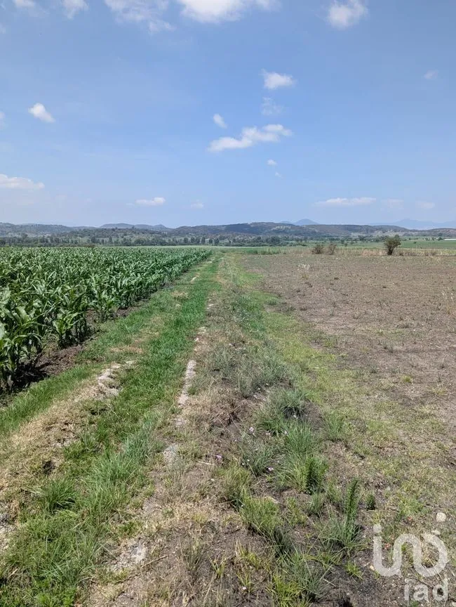 Terreno en Venta en El Varal, Amealco de Bonfil, Querétaro | NEX-251710 | iad México | Foto 6 de 12