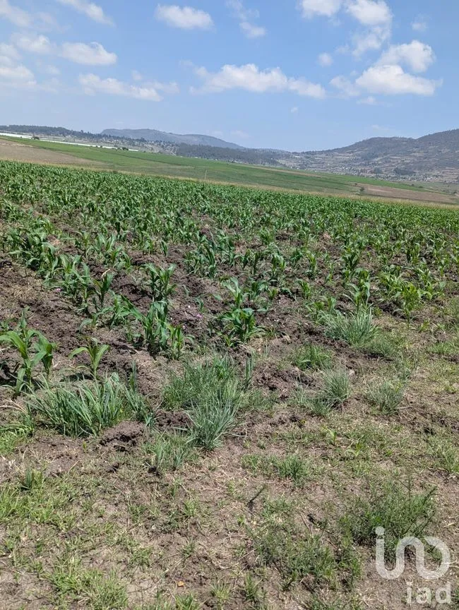 Terreno en Venta en El Varal, Amealco de Bonfil, Querétaro | NEX-251710 | iad México | Foto 7 de 12