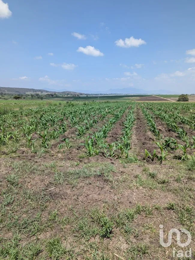Terreno en Venta en El Varal, Amealco de Bonfil, Querétaro | NEX-251710 | iad México | Foto 8 de 12