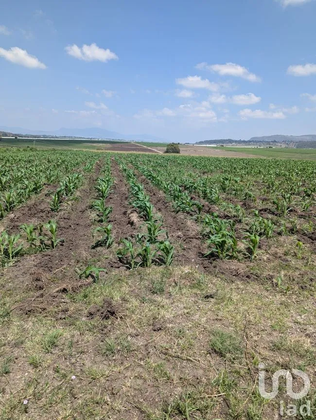 Terreno en Venta en El Varal, Amealco de Bonfil, Querétaro | NEX-251710 | iad México | Foto 9 de 12
