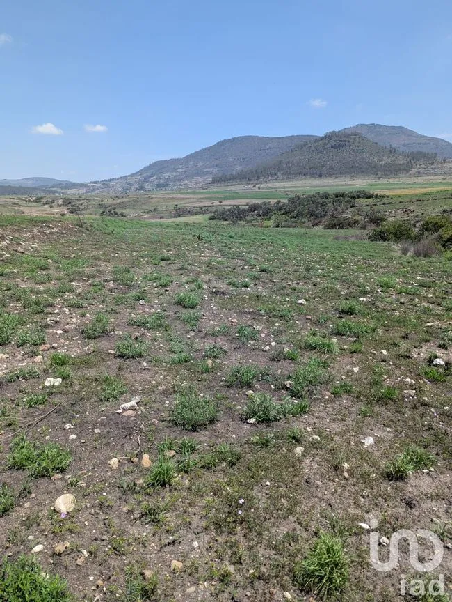 Terreno en Venta en El Varal, Amealco de Bonfil, Querétaro | NEX-251710 | iad México | Foto 1 de 12