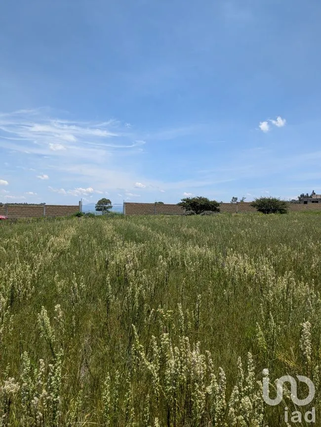Terreno en Venta en El Saucito, Amealco de Bonfil, Querétaro | NEX-257267 | iad México | Foto 4 de 7
