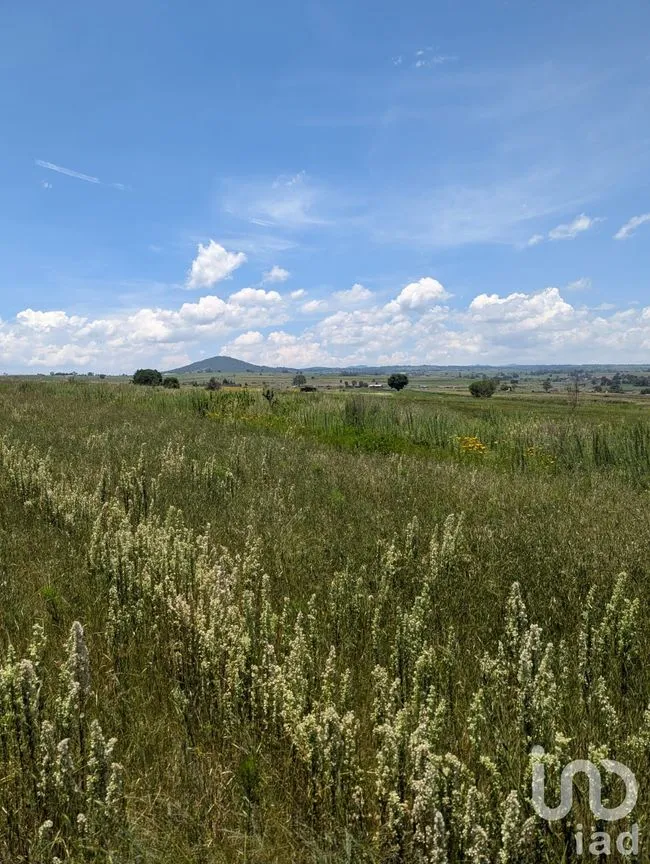 Terreno en Venta en El Saucito, Amealco de Bonfil, Querétaro | NEX-257267 | iad México | Foto 6 de 7