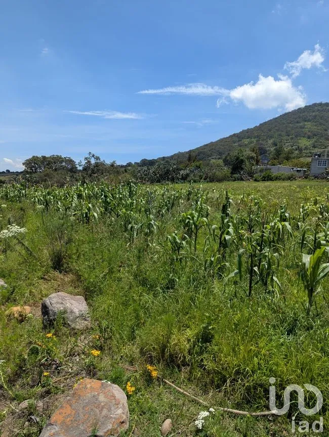 Terreno en Venta en El Saucito, Amealco de Bonfil, Querétaro | NEX-257269 | iad México | Foto 4 de 8