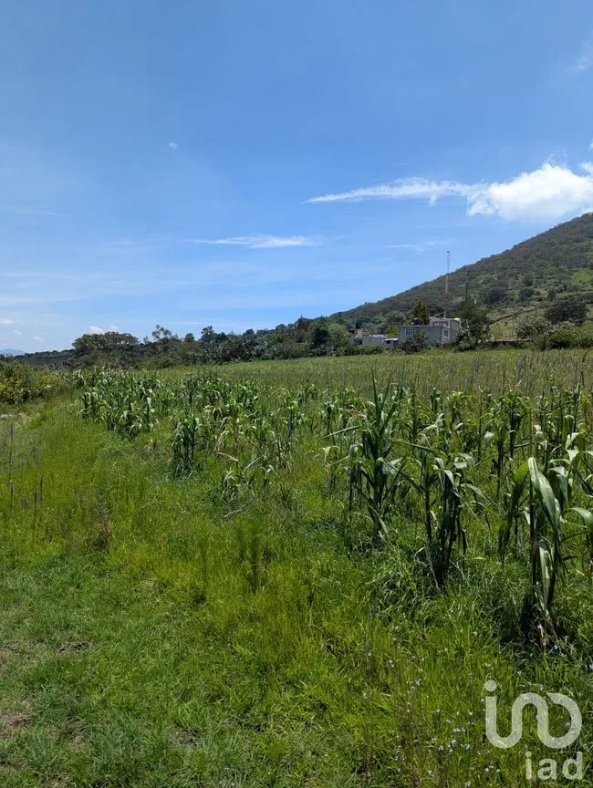 Terreno en Venta en El Saucito, Amealco de Bonfil, Querétaro | NEX-257269 | iad México | Foto 5 de 8