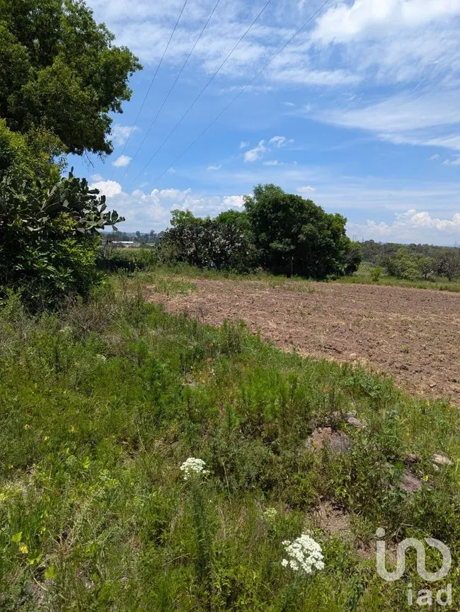 Terreno en Venta en El Saucito, Amealco de Bonfil, Querétaro | NEX-257270 | iad México | Foto 4 de 4