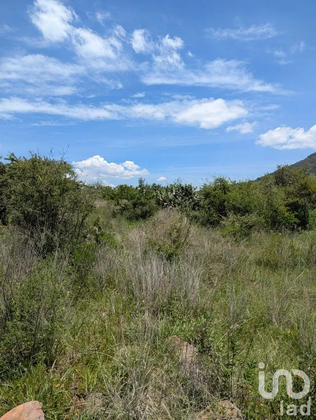 Terreno en Venta en El Saucito, Amealco de Bonfil, Querétaro | NEX-257272 | iad México | Foto 3 de 6